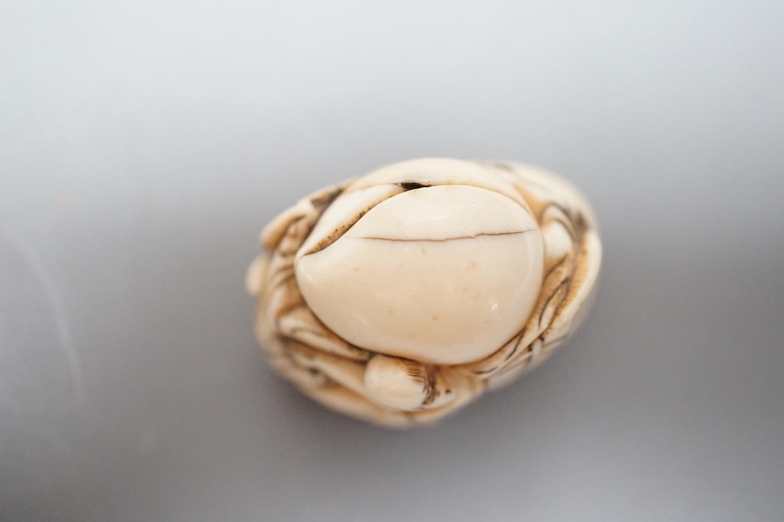 An 18th / 19th Chinese ivory 'monkey and peach' toggle. 4cm